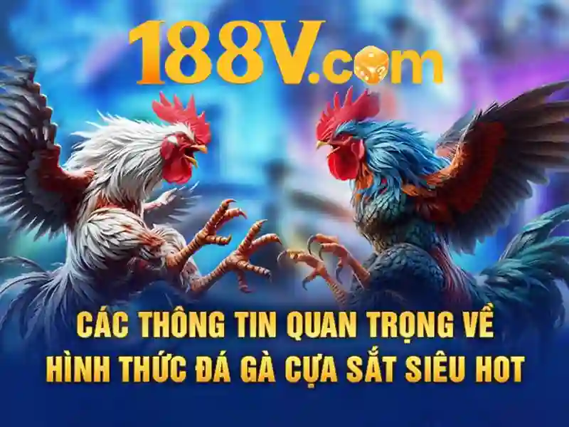 https://dslrhd.com/images/text/188v/188v-text1073.webp