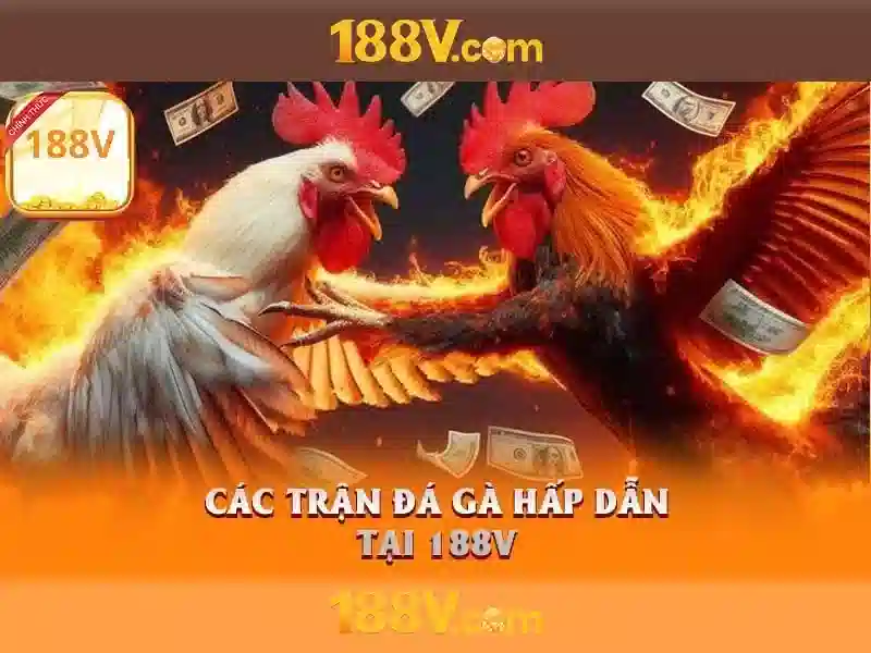 Cá cược thể thao 188v: Đột phá trải nghiệm và dịch vụ