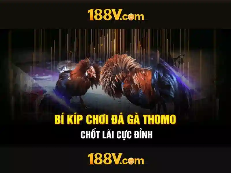 https://dslrhd.com/images/text/188v/188v-text260312423.webp