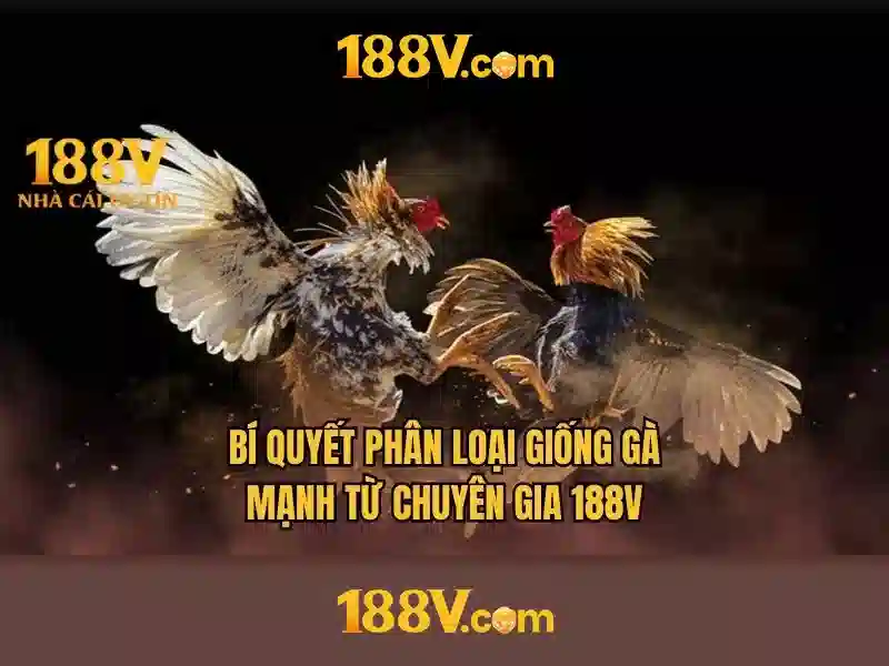 https://dslrhd.com/images/text/188v/188v-text260312432.webp