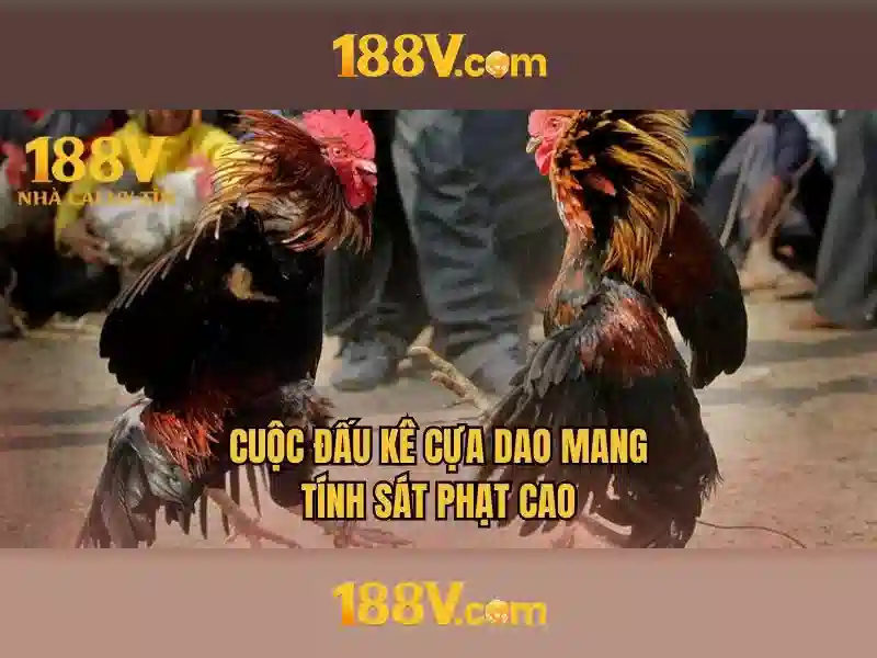 game 188v – Trải nghiệm đỉnh cao và chiến lược thương hiệu