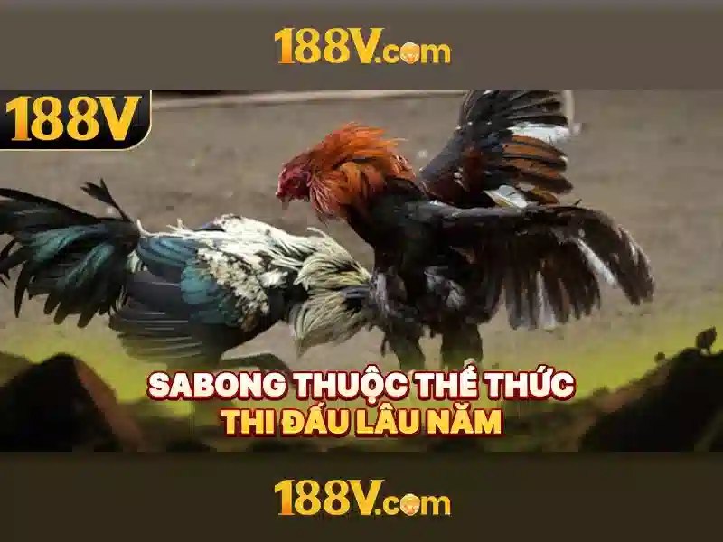 https://dslrhd.com/images/text/188v/188v-text260330634.webp