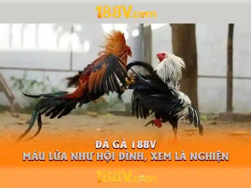 188V: khái niệm và ứng dụng trong công nghệ hiện đại