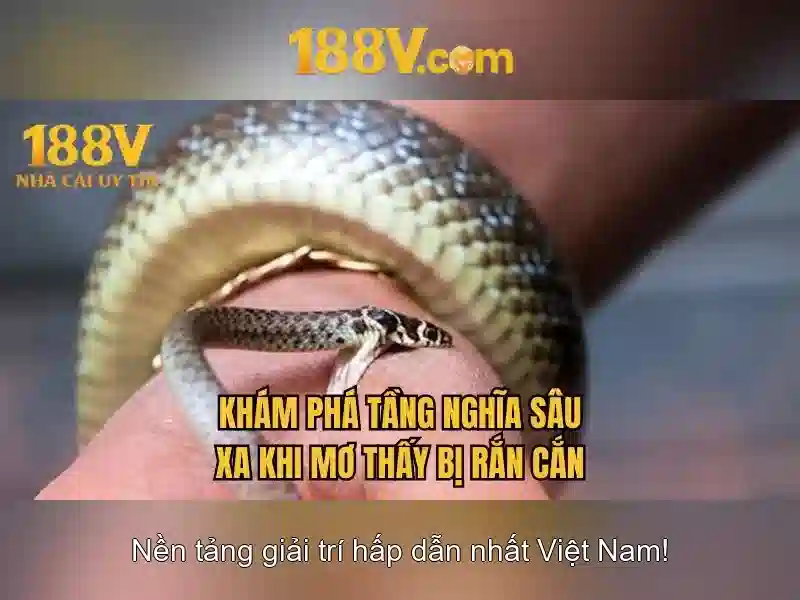 188V: Điện áp, an toàn và ứng dụng