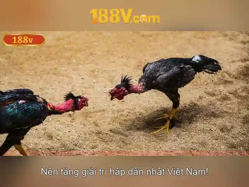 Khởi động 188v: Khái niệm và ứng dụng