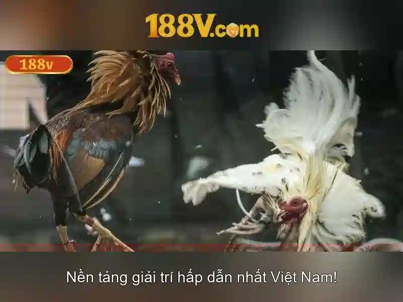 https://dslrhd.com/images/text/188v/188v-text2603311537.webp