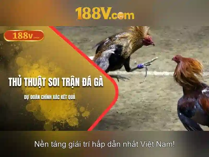 https://dslrhd.com/images/text/188v/188v-text2603312123.webp