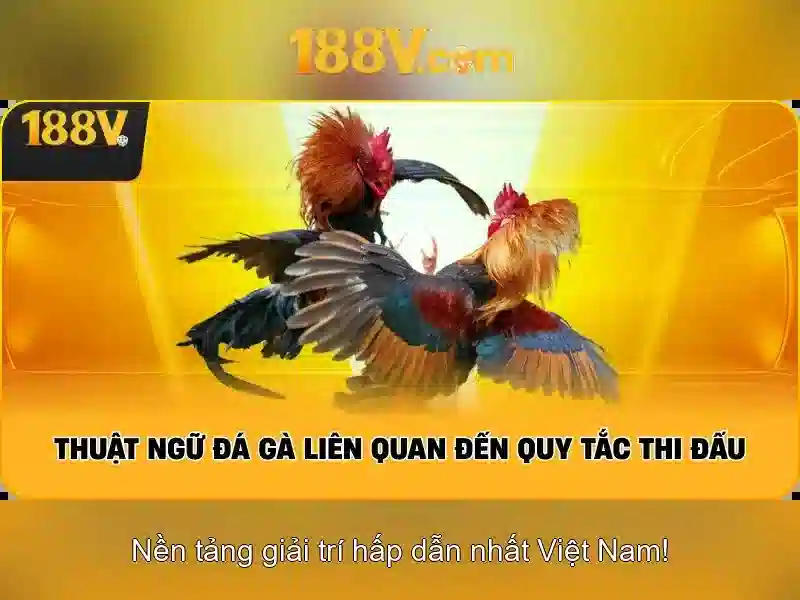 https://dslrhd.com/images/text/188v/188v-text2603312127.webp