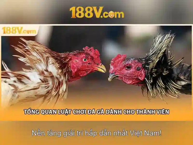 188v: một khái niệm giao thoa giữa công nghệ và nghệ thuật