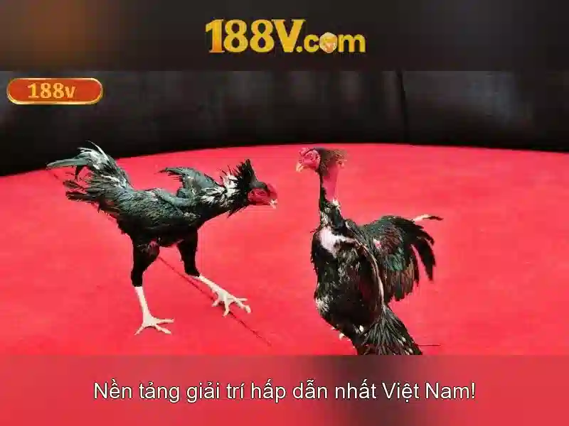 Khám phá 188v: một khái niệm và câu chuyện phía sau