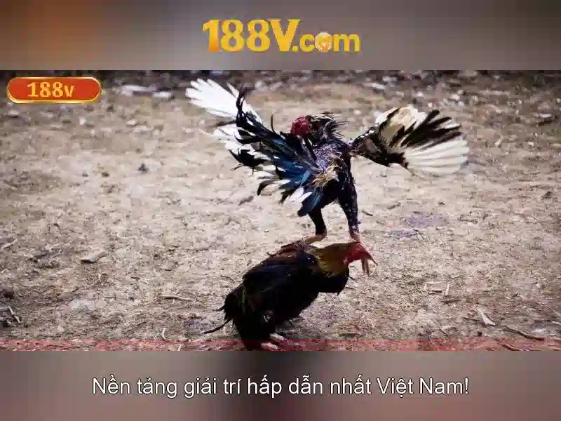https://dslrhd.com/images/text/188v/188v-text260331744.webp