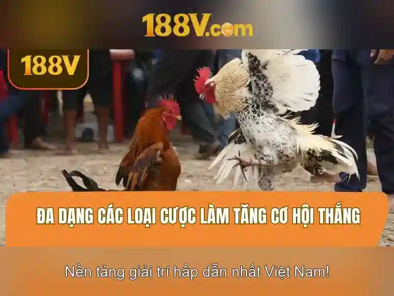 https://dslrhd.com/images/text/188v/188v-text260331820.webp