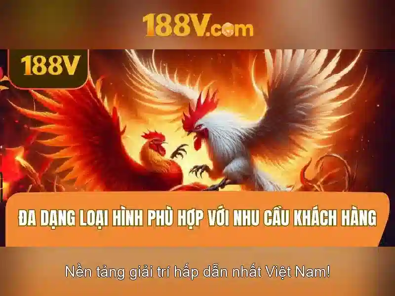 https://dslrhd.com/images/text/188v/188v-text260331823.webp