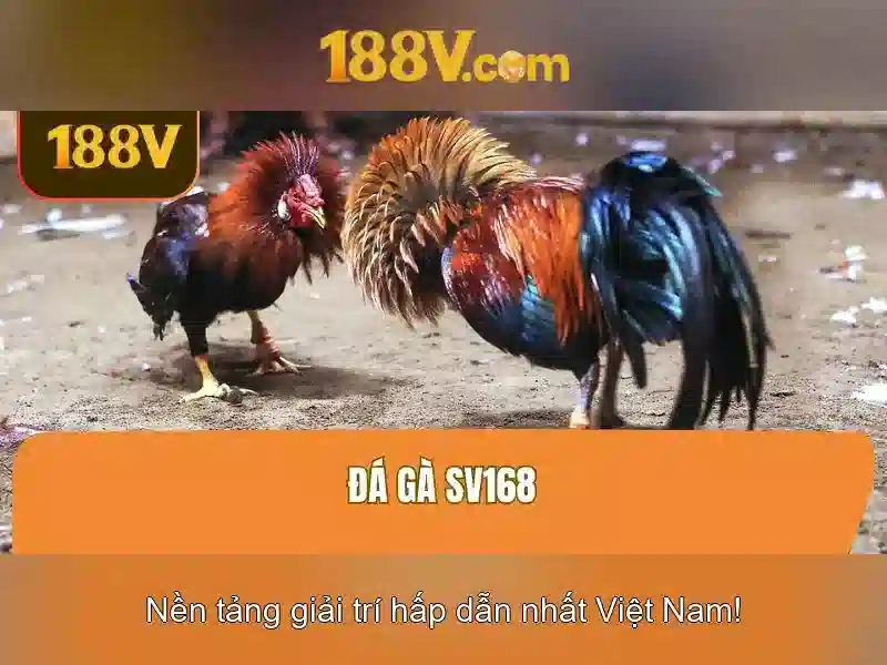 https://dslrhd.com/images/text/188v/188v-text260331852.webp