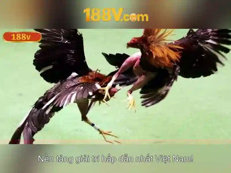 https://dslrhd.com/images/text/188v/188v-text260331860.webp